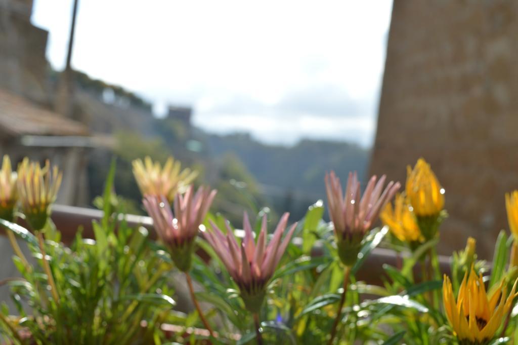 Apartmán Casa Dei Lavatoi Pitigliano Exteriér fotografie